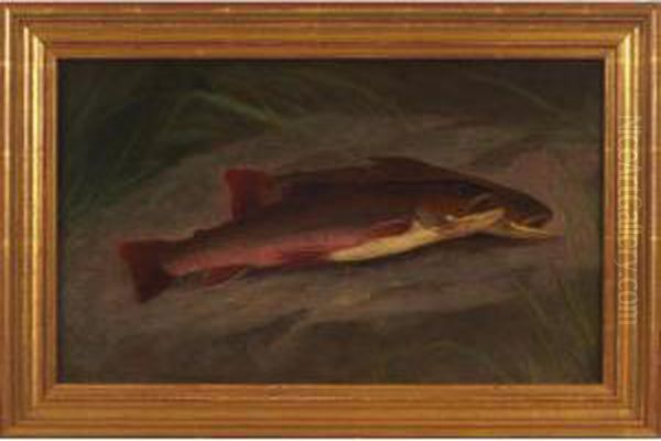 Fish Oil Painting by William Ongley