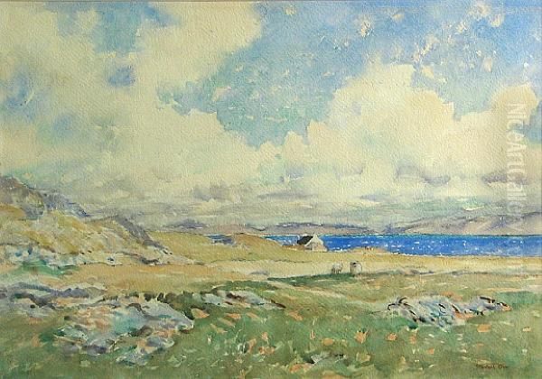 Across The Sound, Iona Oil Painting by Stewart Orr