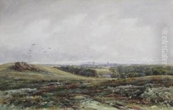 Bradgate Park Oil Painting by James Orrock