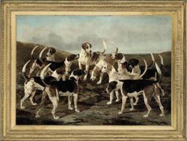 The Hounds From York & Ainsty Kennels Oil Painting by William Osborne