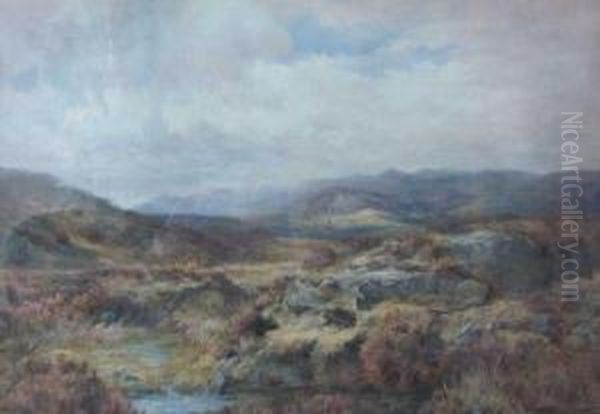 'a Moorland Bettwys Y Coed' Oil Painting by Samuel William Oscroft