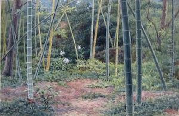 Bamboo Forest Oil Painting by Tojiro Oshita