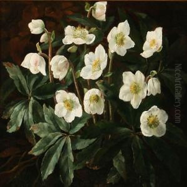 White Christmas Roses Oil Painting by Otto Didrik Ottesen