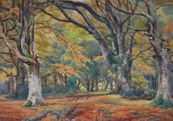 Forest Path In Autumn Oil Painting by Benjamin John Ottewell