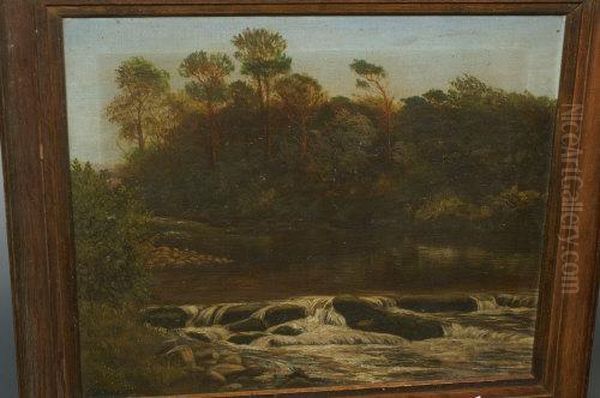 Woodland Rapid Oil Painting by Rev.C.T. Ovenden