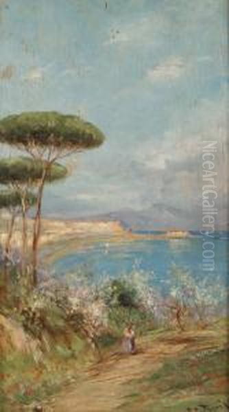 Veduta Del Golfo Oil Painting by Giovanni Pagliarini