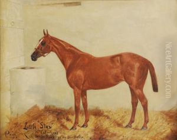 Little 'star' Oil Painting by George Paice