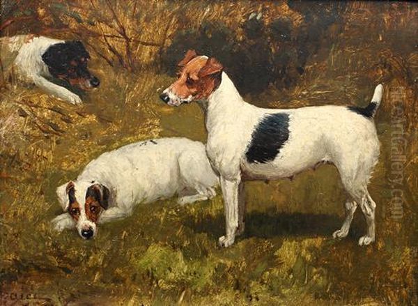 Study Of Three Jack Russells Oil Painting by George Paice