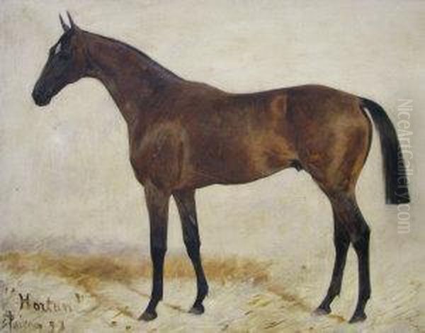 Horton, 
A Chestnuthunter In A Stable Oil Painting by George Paice