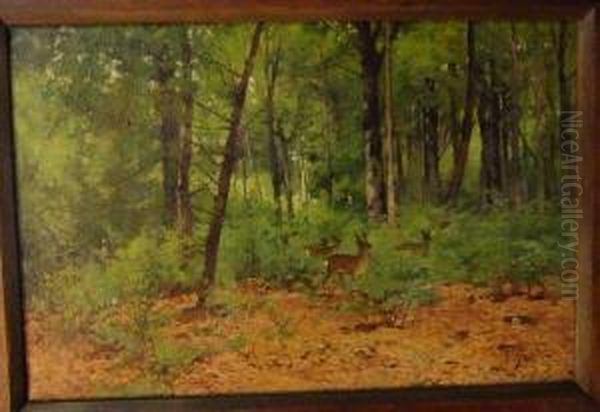 Chevreuils Dans La Foret Oil Painting by Edouard Pail