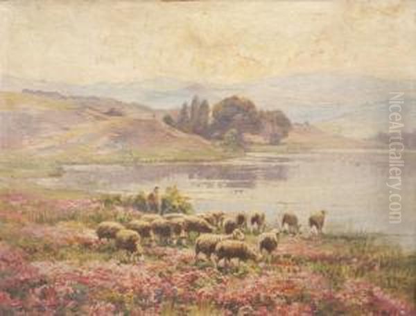 Les Moutons Dans La Bruyere Oil Painting by Edouard Pail