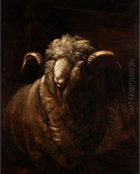 Study Of A Sheep Oil Painting by Bela Pallik