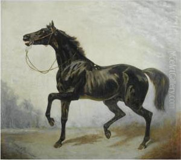 A Dark Bay Horse In An Extensive Landscape Oil Painting by James Lynwood Palmer