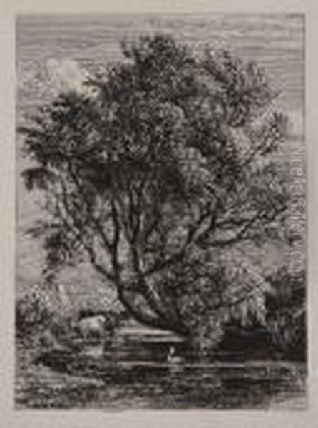 The Willow Oil Painting by Samuel Palmer