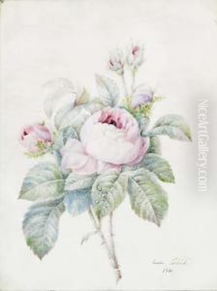 A Spray Of Pink Roses Oil Painting by Anne-Ernestine Panckoucke