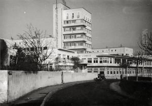 Einfamilienhaus Von Hans Scharoun Und Genossenschaftsbau, Weissenhofsiedlung, Stuttgart Oil Painting by Bernhard Pankok