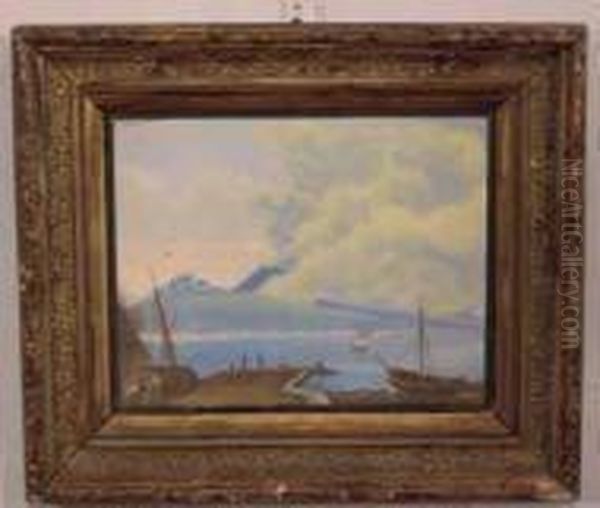 Golfo Di Napoli Con 
Vesuvio Oil Painting by Silvius Paoletti