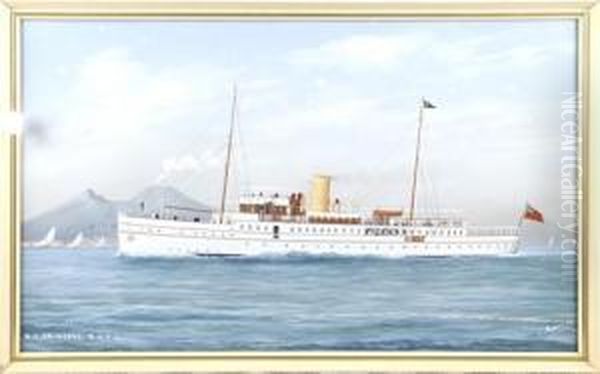 M.y Princess Rcyc In The Bay Of Naples Oil Painting by L. Papaluca