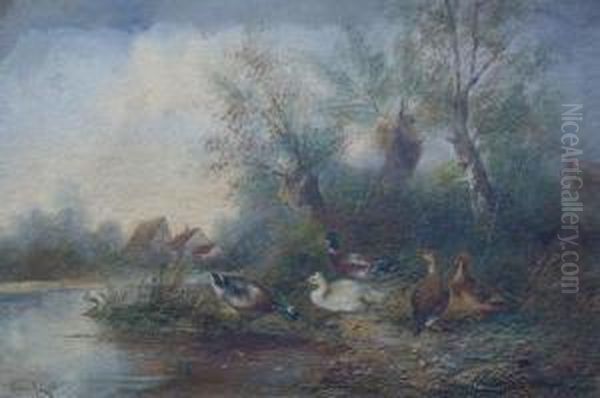 Ducks Along A Streambank Oil Painting by Ignaz Papauschek