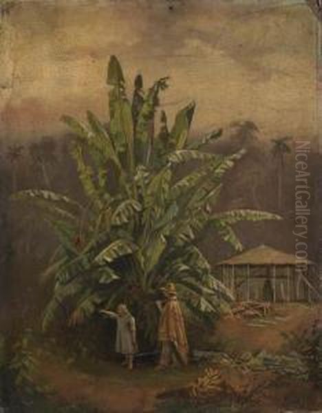 Wild Banana Palm, Brazil Oil Painting by Karl Ernest Papf