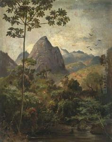 Landscape Near Rio De Janeiro Oil Painting by Karl Ernest Papf