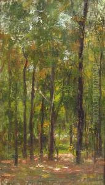 Forest Oil Painting by Juan Alexandru Paraschivescu