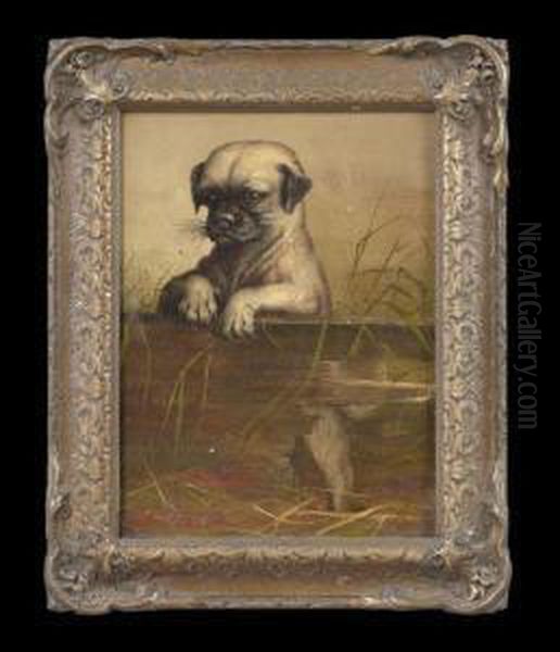 Puppy No. 9 Oil Painting by Adelaide Paris Spang