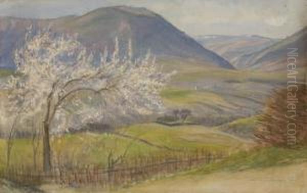 Vallata In Primavera Oil Painting by Napoleone Parisani