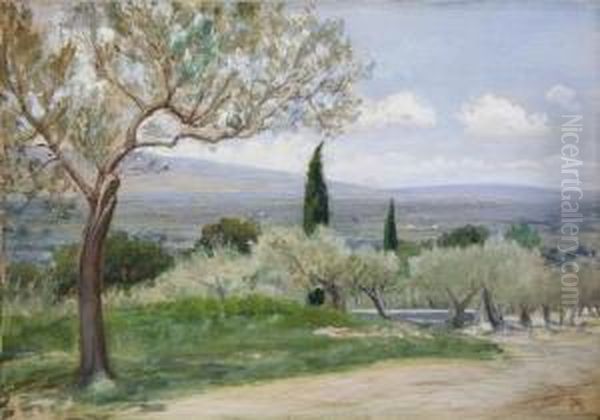 Paesaggio Collinare Con Ulivi Oil Painting by Napoleone Parisani