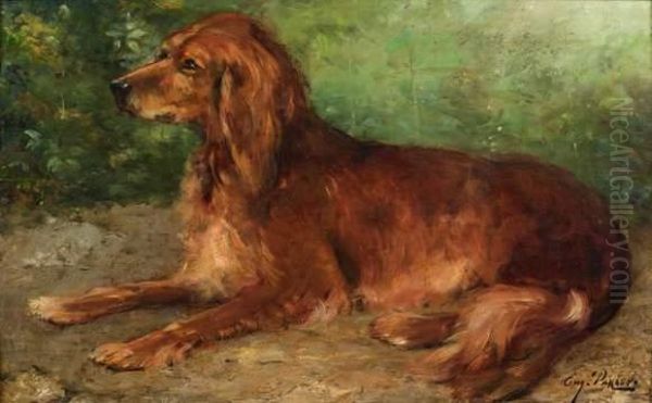 Setter Irlandais Oil Painting by Eugene Ferdinand Parisy