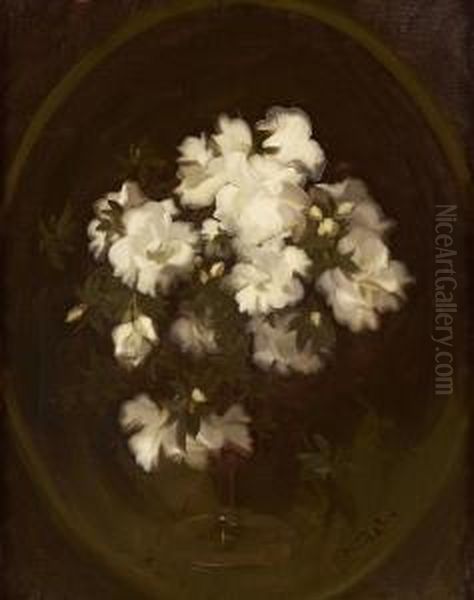 Still Life Of White Roses Oil Painting by James Stuart Park