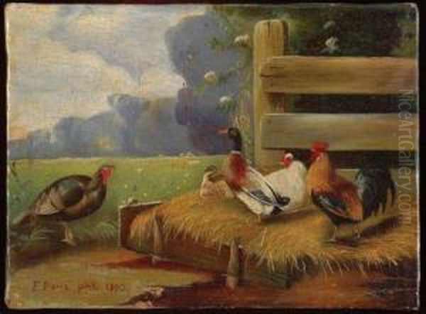 Aves De Granja Oil Painting by Felix Parra