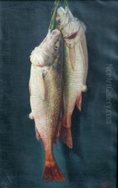 Peces Oil Painting by Jose Felipe Parra Piquer