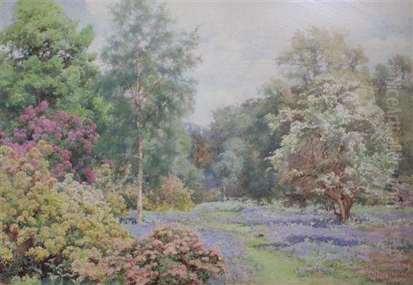 Woodland Garden With Bluebells And Rhododendrons Oil Painting by Alfred Parsons