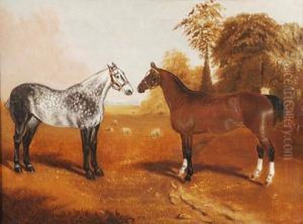 Dapple Grey And Bay Hunters In A Field Oil Painting by John Partridge