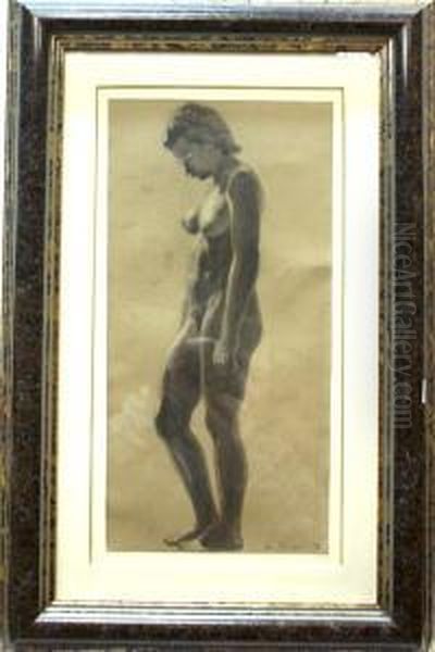 Desnudo Femenino Oil Painting by Ivo Pascual Rodes