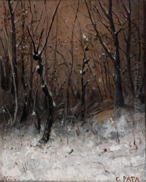 Sous-bois Enneige Oil Painting by Cherubino Pata