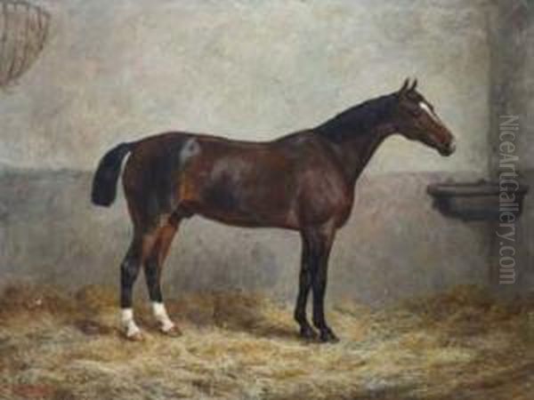 Portrait Of A Racehorse In A Stable Oil Painting by Frank Paton