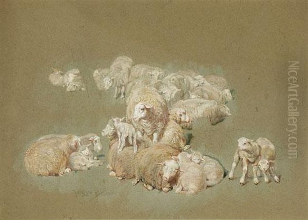 Study Of A Flock Of Sheep Oil Painting by James William Pattison