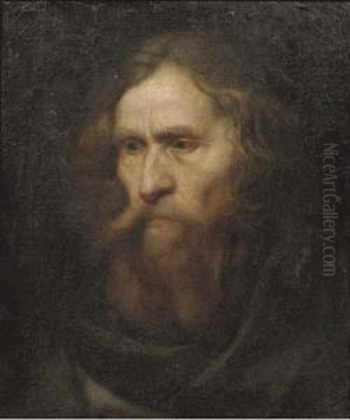 Head Of A Bearded Man Oil Painting by Christoph Paudiss