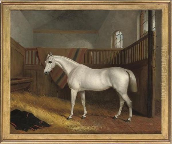 A Grey Hunter In A Stable Oil Painting by John Paul