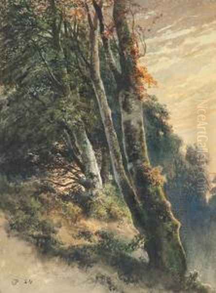 Bewaldeter Berghang Im Herbst. Oil Painting by Charles Pauli