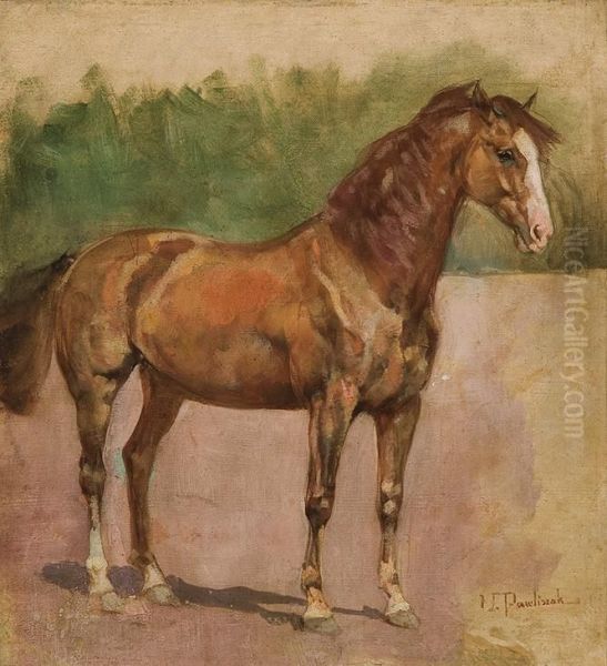 Horse Study Oil Painting by Waclaw Pawliszak