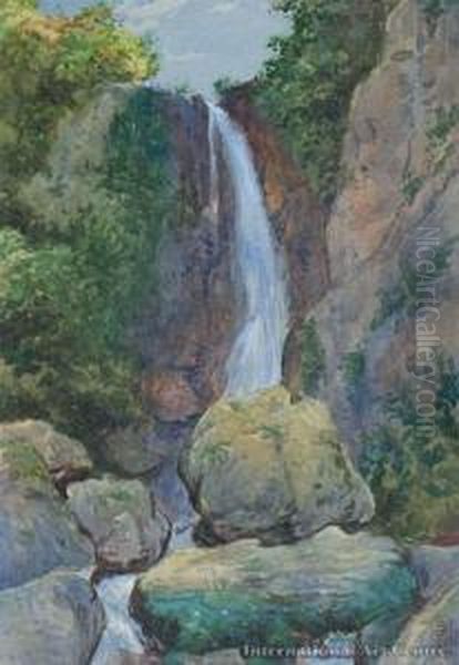 Wairoa Falls Tarawera Oil Painting by Edward William Payton