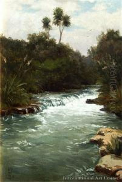 Cascade & Cabbage Tree Oil Painting by Edward William Payton