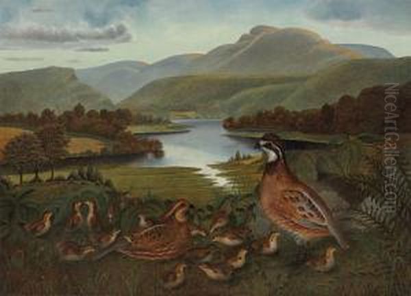 Quail In Landscape Oil Painting by Rubens Peale