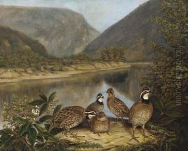 Five Bobwhites At The Delaware Water Gap Oil Painting by Titian Ramsay Peale