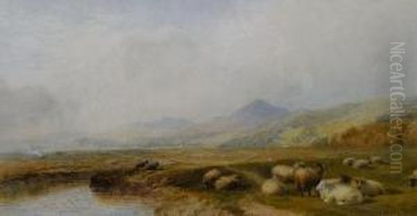 Sheep In A Valley, North Wales Oil Painting by Cornelius Pearson