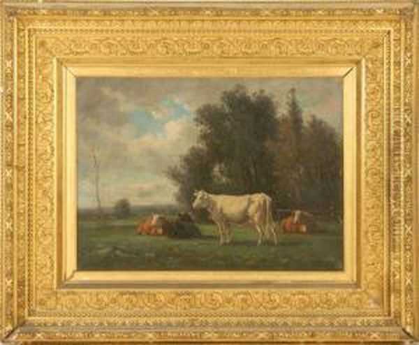 Cows In A Pasture. Oil Painting by William Pearson