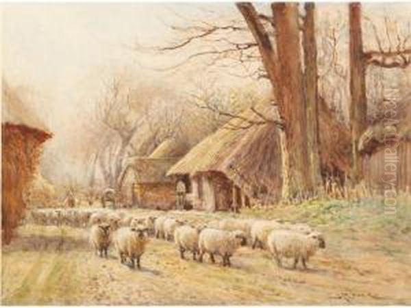 Sheep Being Driven Through A Farmyard Oil Painting by John Pedder